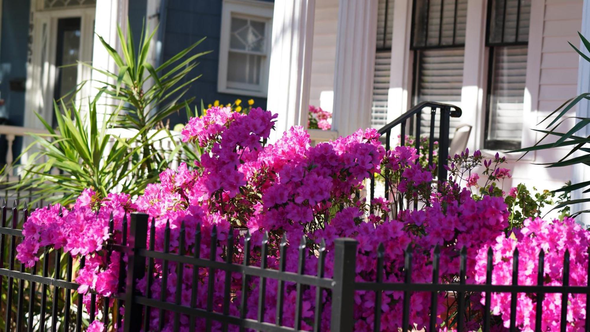 5 Bedroom Downtown Savannah Ga Eksteriør billede